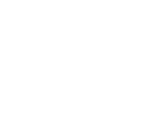 Schriftzeichen Logo Van Vuong